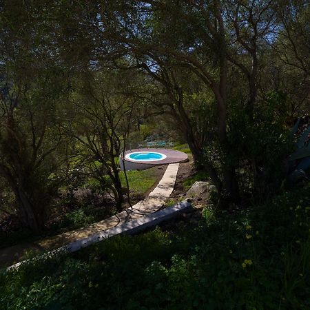 Agroturismo Suites Hacienda Los Olivos Santa Brigida  Bagian luar foto